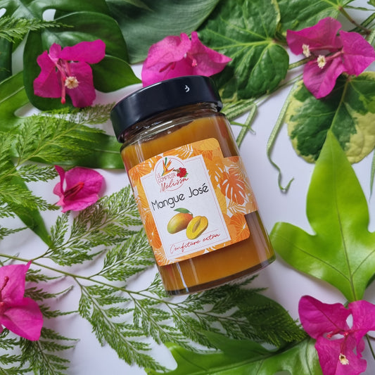 Confiture Extra Mangue José